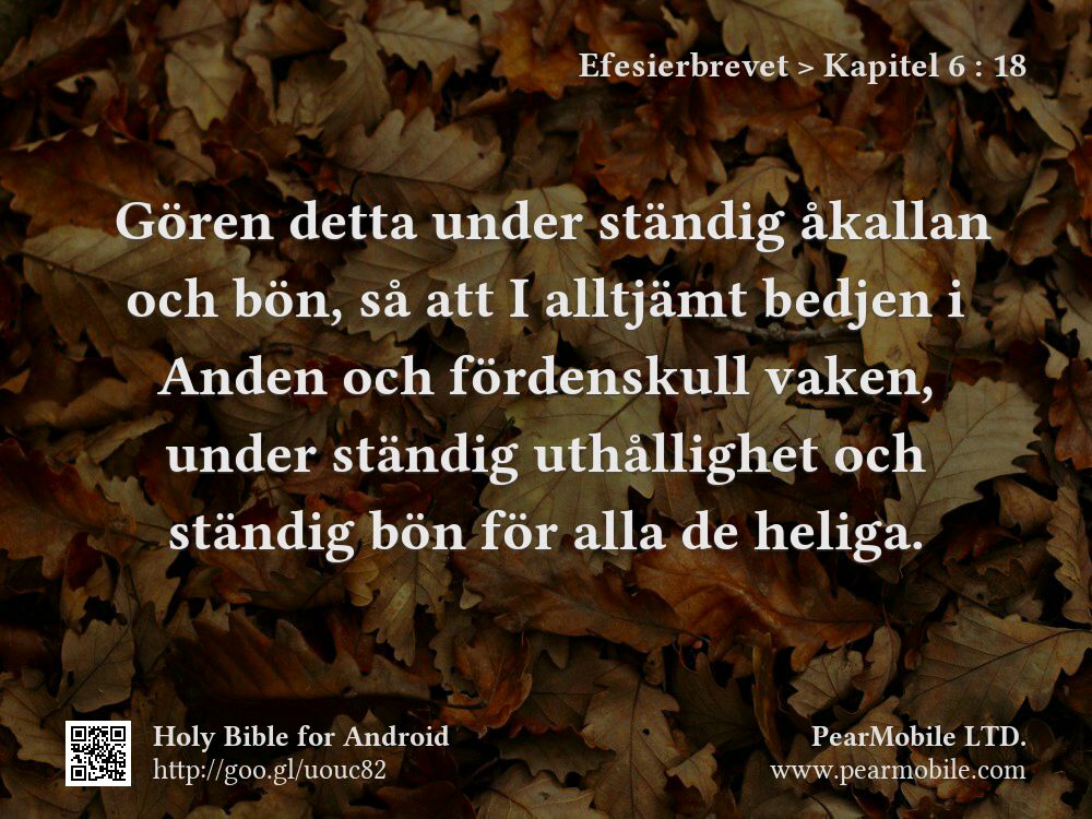 Efesierbrevet, Kapitel 6:18
